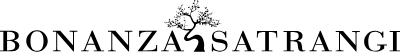 Bonanza Satrangi logo